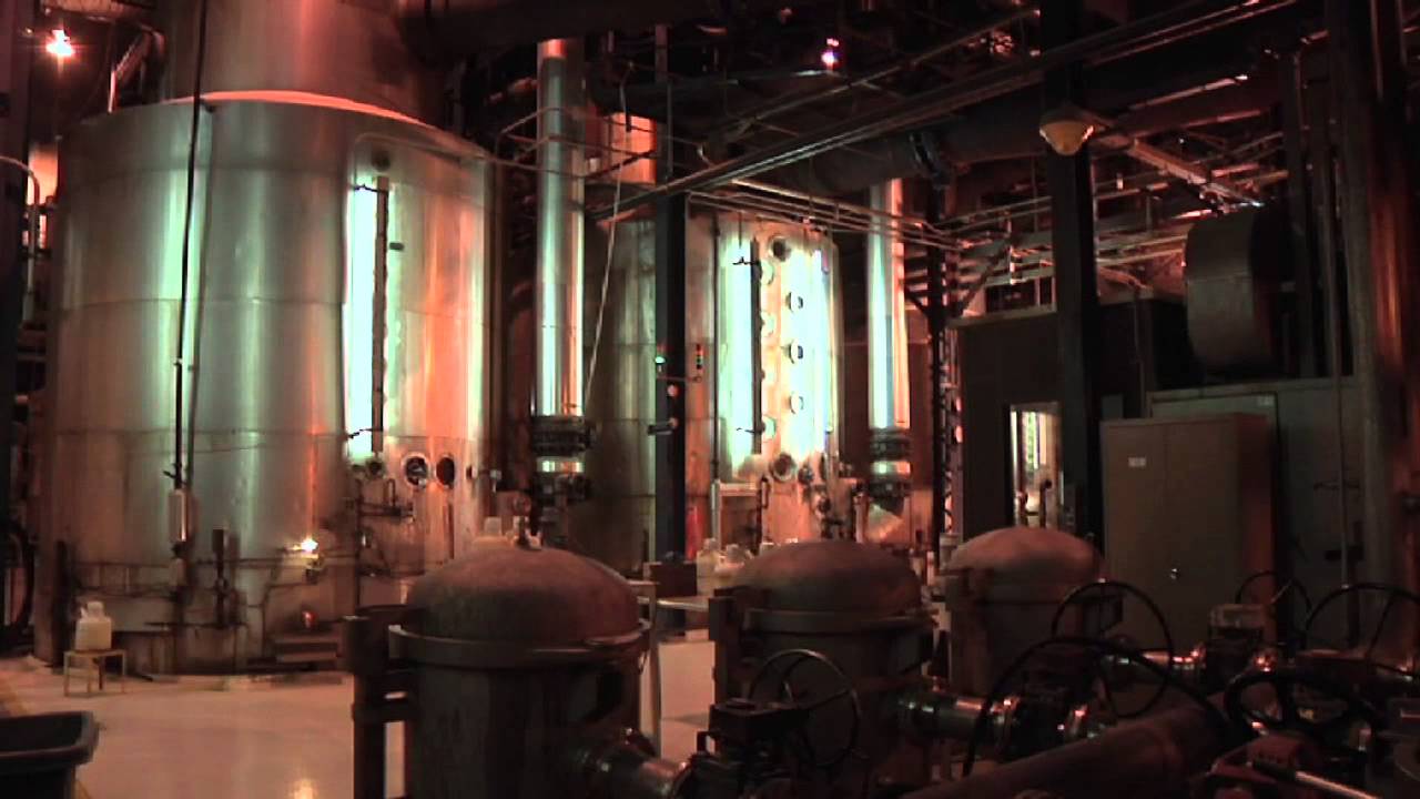 Michigan Sugar: Beets to Table in Two Minutes