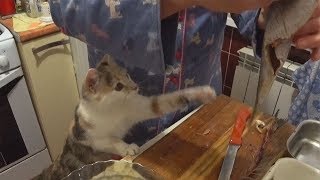 НАГЛЫЙ КОТ ВОРУЕТ РЫБУ / СЕЛЕДКА ПОД ШУБОЙ НАГЛЫЙ КОТ ВОРУЕТ РЫБУ / СЕЛЕДКА ПОД ШУБОЙ