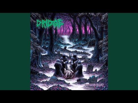 Dridge — Dying Out