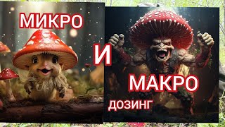 КРАСНЫЙ МУХОМОР! ПРАВИЛА ПРИМЕНЕНИЯ | МАКРОДОЗИНГ ОПАСНОСТИ И РЕЗУЛЬТАТЫ | ОТВЕТЫ НА ВОПРОСЫ