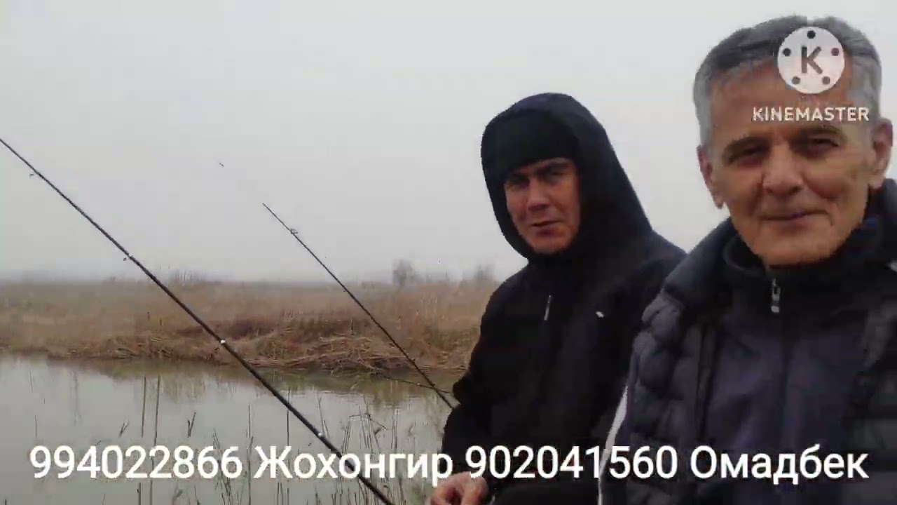 Минг булок натижалар зур👍