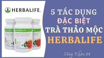5 Tác Dụng Đặc Biệt Của Trà Thảo Mộc Cô Đặc Herbalife Và Những Lưu Ý Khi Sử Dụng| 0587 98.98.98