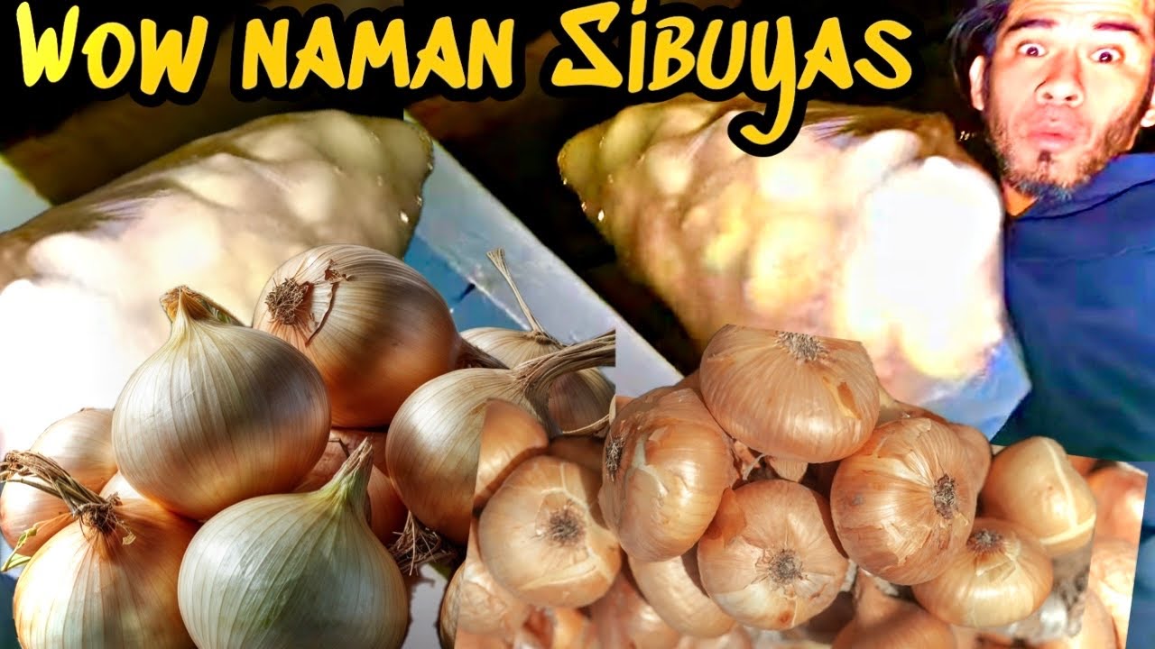 Dumpster Diving | Sibuyas palang jackpot na