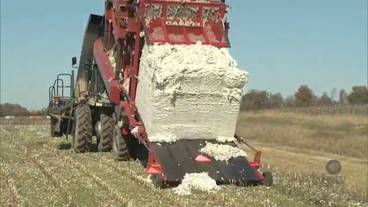 Farmers Tell House Committee How to Shape 2012 Farm Bill