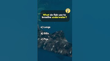 🧠 Think You Know Science? | Take This Ultimate General Knowledge Quiz🔬🌍#quizgame #quizgame #science