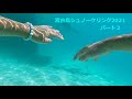美しい沖縄の海 宮古島 シュノーケリング パート2 魚・サンゴ礁・「癒しの海 BGM」夏休み 夏の旅行