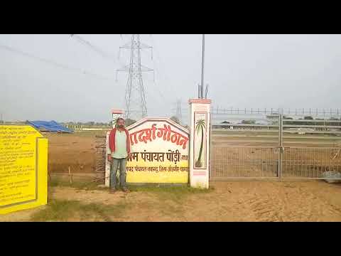 Janjgir Champa: खेत को देखने निकला था युवक, मगर नहीं लौटा घर, मिला……Video