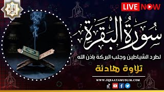 سورة البقرة كاملة, رقية للبيت, وعلاج للسحرسورة البقرة طاردة الشياطين تلاوة للنوم | Surah Al Baqarah