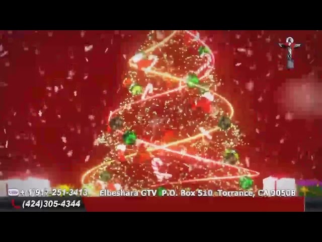 Elbeshara GTV Live Stream  (مشاكل الأسرة والمحاكم فى مصر) حلقة رقم 9 من برنامج ( بيت العيلة )