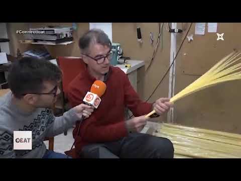 Connecti.cat - A Solsona fan palmes per Diumenge de Rams vice movie