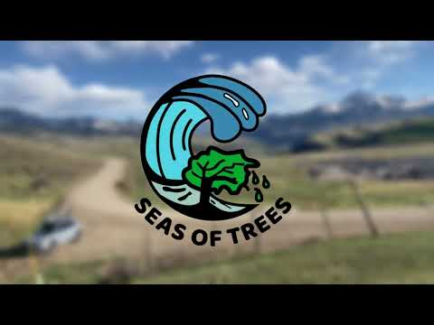 Seas of Trees Demonstration Solar Forest Planting