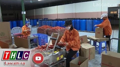 Hỗ trợ mở rộng thị trường thông qua xúc tiến thương mại | THLC