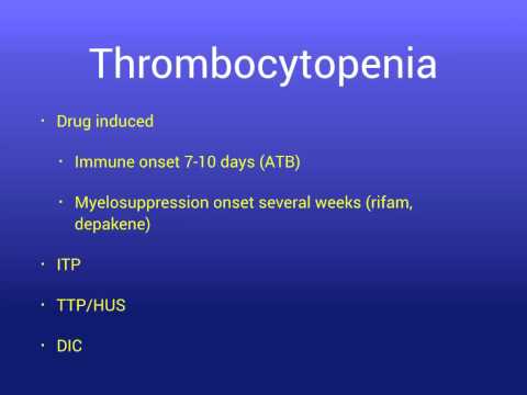 ติว hemato for resident med