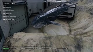 Halo 5 - Sneaky Whale on Riptide