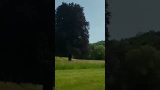 Chateau De Martigny Colmey