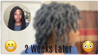 Taking Down Marley Twists After 2 Weeks! | Naomi Onlae Taking Down Marley Twists After 2 Weeks! | Naomi Onlae