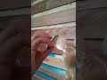 urso de pelusi vs boneco de pano