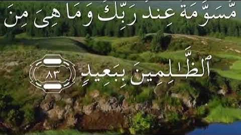 سورة هود صفحة ٢٣١ مكتوبة مكررة بصوت سعد الغامدي