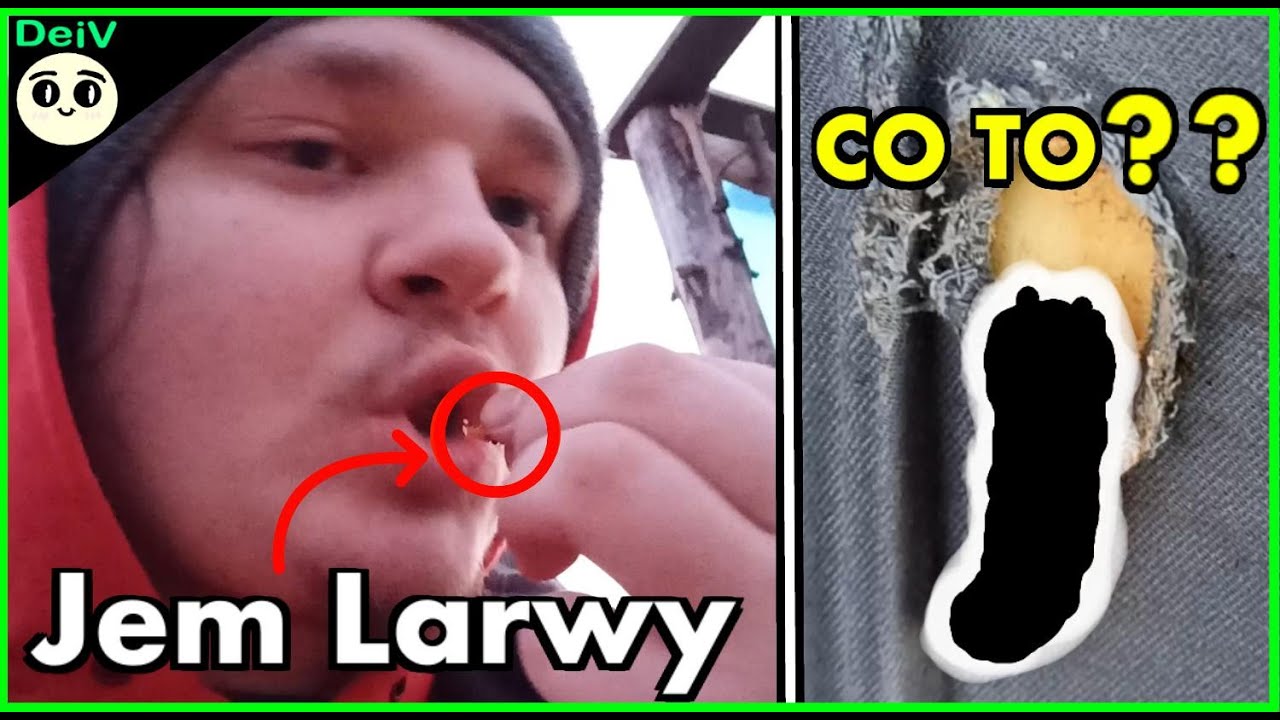 Jak smakują LARWY ??? I CO TO KURDE JEST !!! Survival / Przetrwanie