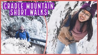 Short Walks + Cradle Mountain in Tasmania