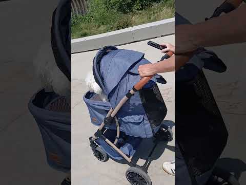 PE URMELE AMERIINDIENILOR #shortvideo #amérindienne #ingenious