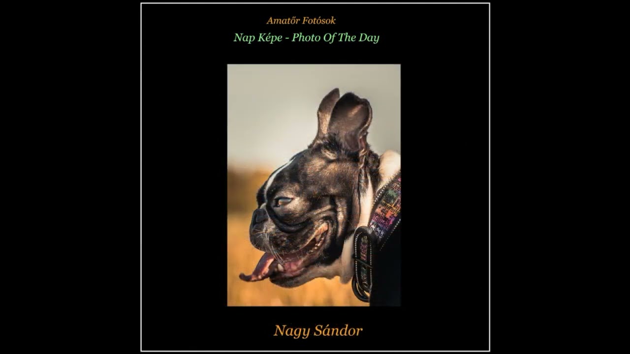 Nap Képe   Február   Amatőr Fotósok