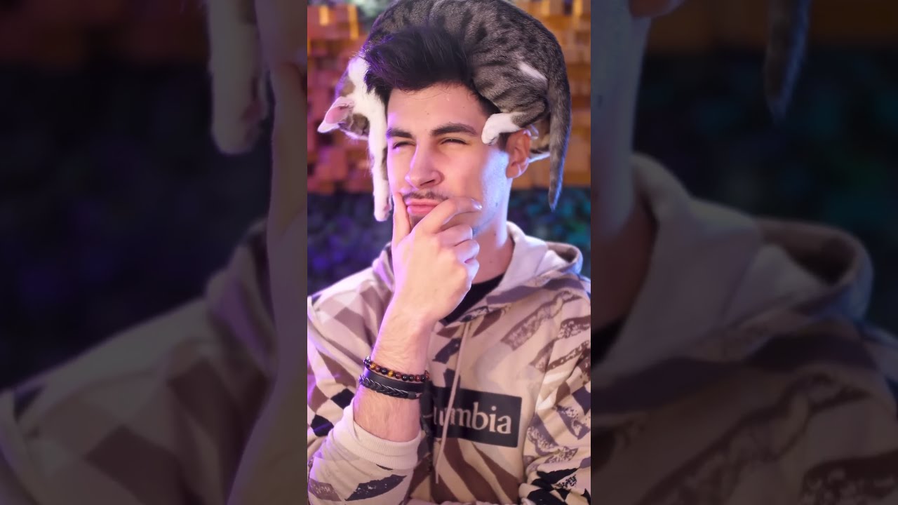 J Ai Adopt Un Chaton Youtubeshorts