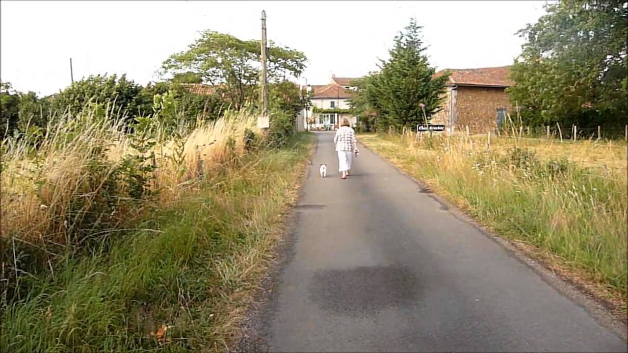 jack goes on a frog march