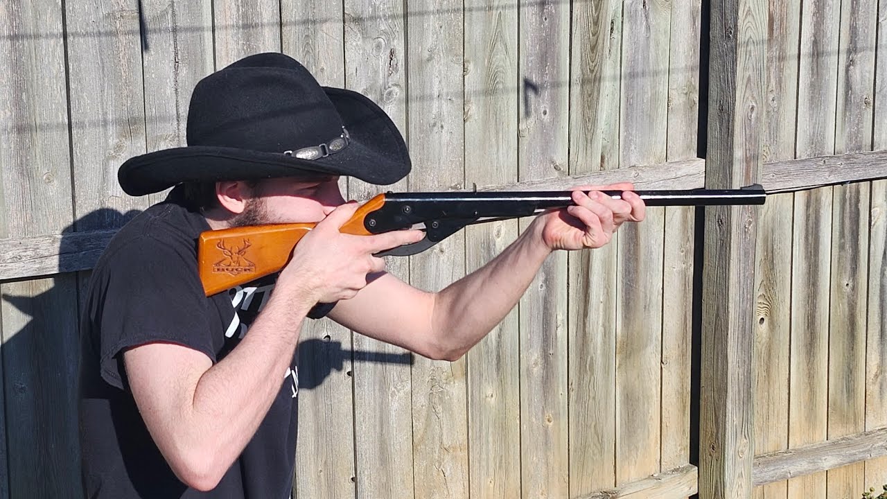 History Of The Daisy BB Gun