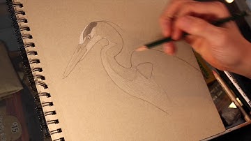 Sketchbook Challenge #4 part 2 - Crosshatching, hatching Blue Heron - Tim Gagnon