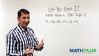 Explore the Collatz Conjecture or the 3N+1 Problem Profile