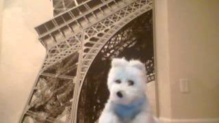 Capture 20120518 10