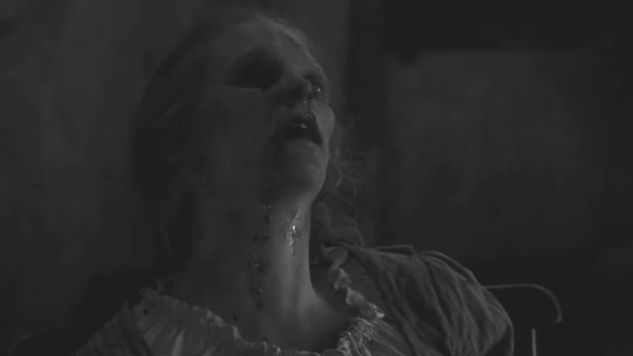 Peste Noire - 666 millions d'esclaves et de déchets Unofficial lyric video + English trans w/ visual