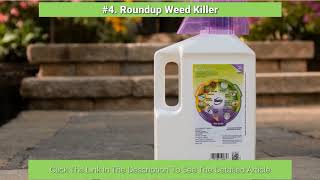 **THE TOP 5 BEST WEED KILLER FOR LAWNS THAT WON'T KILL GRASS ON THE MARKET**