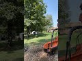 Let's grind a stump! #stumpgrinding