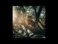 Alien Mustangs - Beat of The Earth (Full Album 2020)