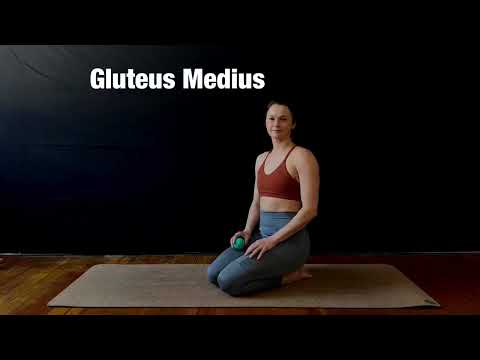 Gluteus Medius