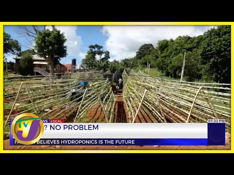 No Soil? No Problem Farmer Believes Hydroponics is the Future | TVJ News - Nov 14 2022