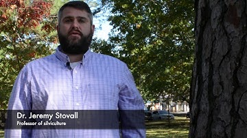 What is silviculture?