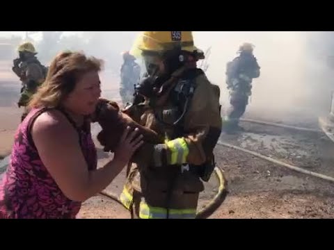 firefighters-rescue-dog-from-north-phoenix-house-fire
