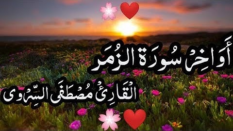 أواخر سوره الزمر | القارئ مصطفى السروي