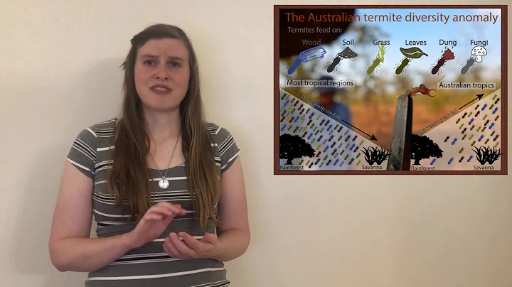 2021 3MT Presentation - Rebecca Clement