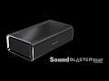 Creative Sound Blaster Roar Pro Portable Bluetooth® Speaker with Wireless Personal PA System