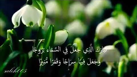 تأمل في خلق الله للطبيعة المذهلة سبحان الله تلاوة للشيخ خالد الجليل اواخر سورة الفرقان