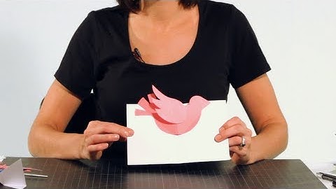 How to Assemble a Bird Pop-Up Card | Pop-Up Cards