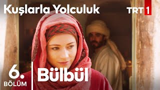 Bülbül | Kuşlarla Yolculuk 6. Bölüm