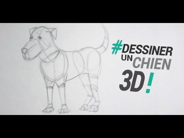 Tuto n°5] Dessiner les poils des animaux - CloseToArt 