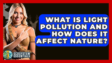 What Is Light Pollution And How Does It Affect Nature? - Ecosystem Essentials