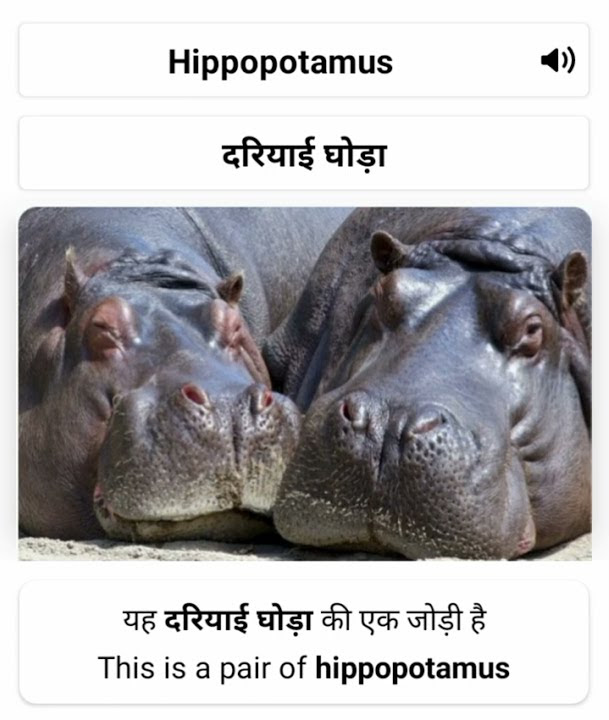 hippopotamus-meaning-in-hindi-visual-meaning-word-meaning