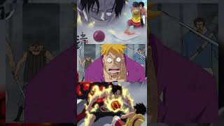 Whitebeard Crew Reaction On Ace Death